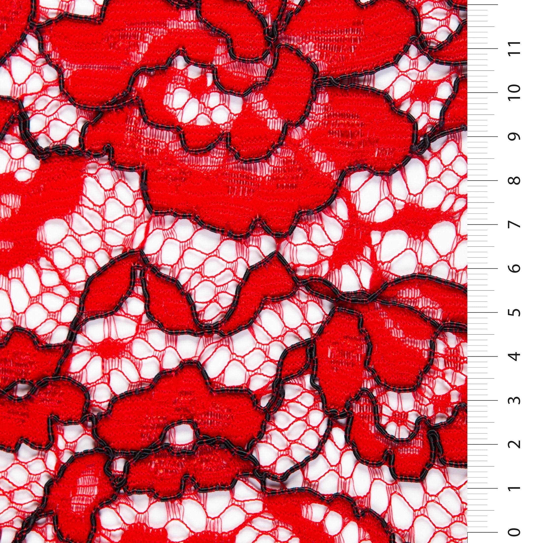 Avignon Style Corded Lace Thread Embroidery Fabric