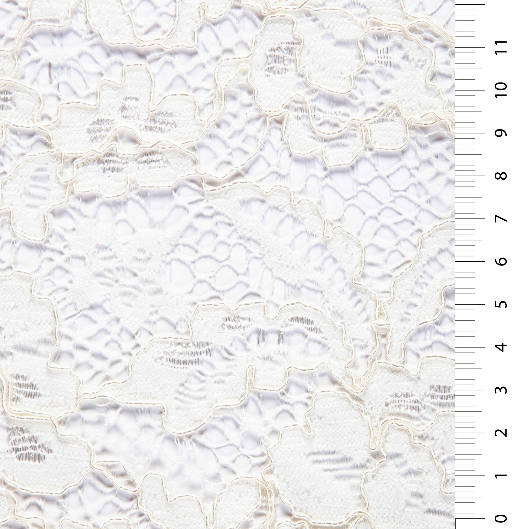 Avignon Style Corded Lace Thread Embroidery Fabric