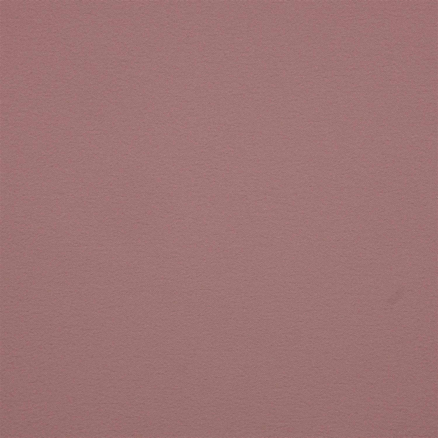 HALLEY SATIN