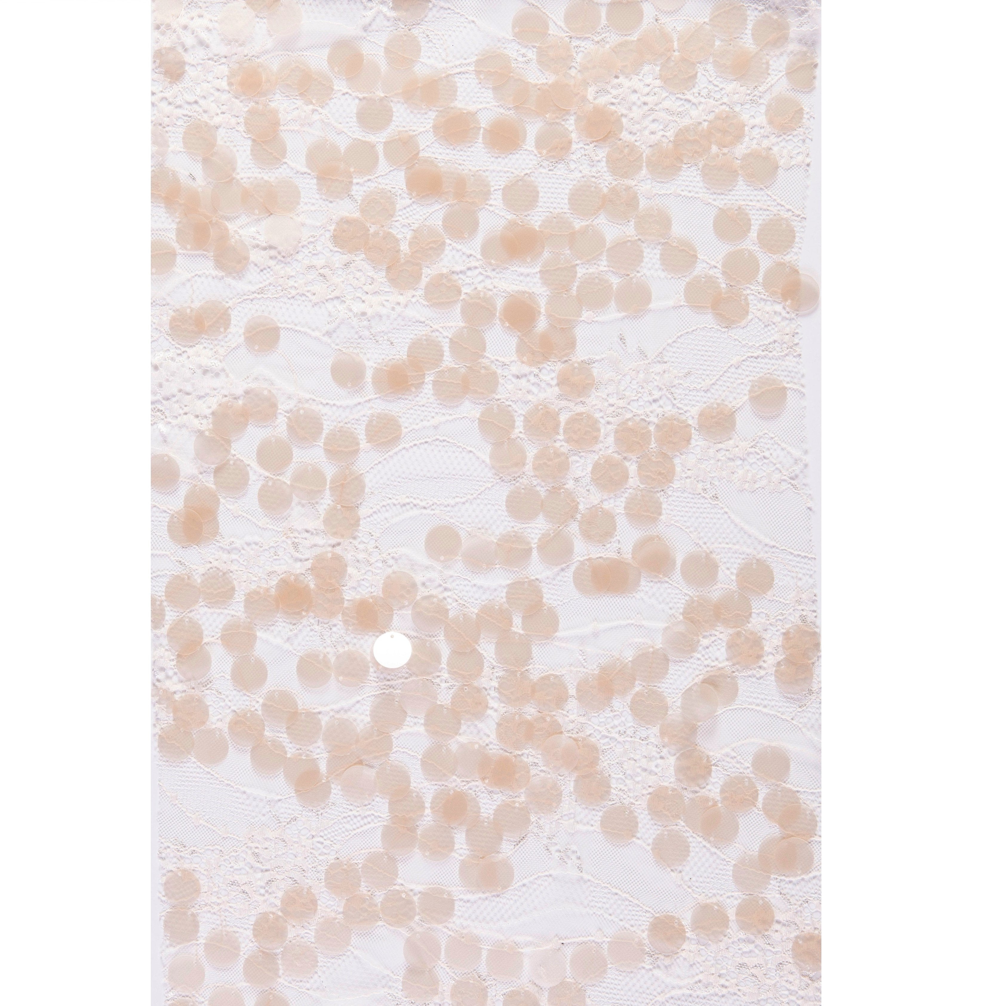 Cream Large Size Hologram Sequin Embroidered Lace Fabric | Burç Fabric