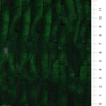 Green Fringe Trim Chiffon Embroidery Fabric | Starsign Fabrics
