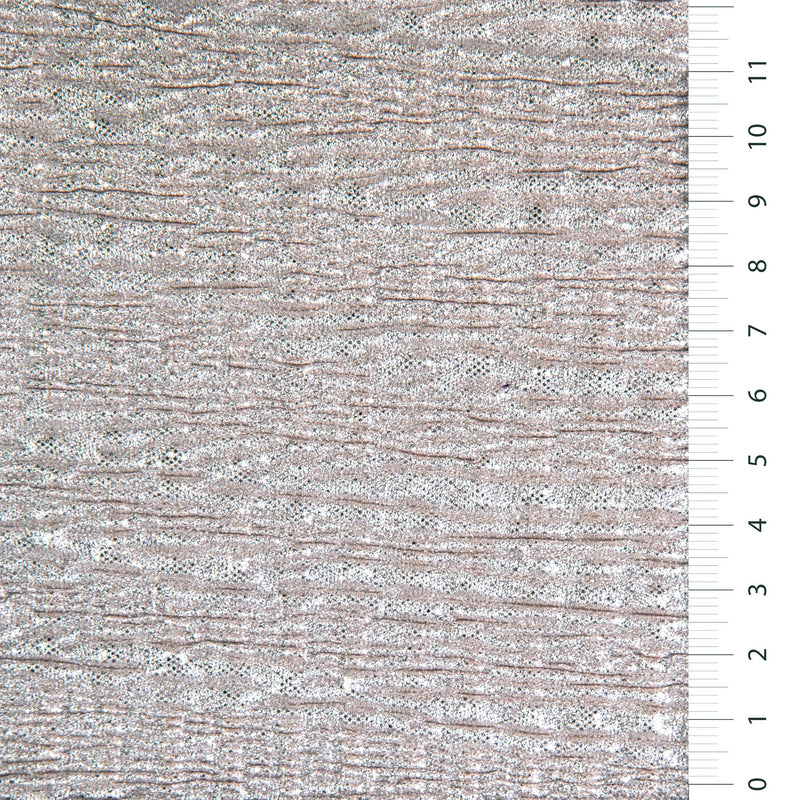 Foil Print Pleated Wrinkle Effect Knitted Fabric